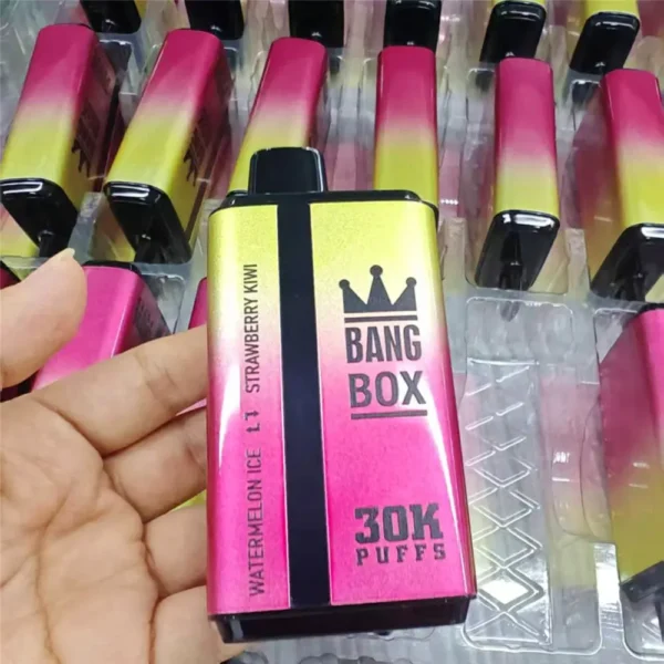 Bang Box 30000 30k Puffs Double Rechargeable Disposable Vape Wholesale